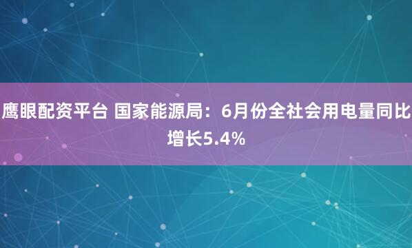 鹰眼配资平台 国家能源局：6月份全社会用电量同比增长5.4%