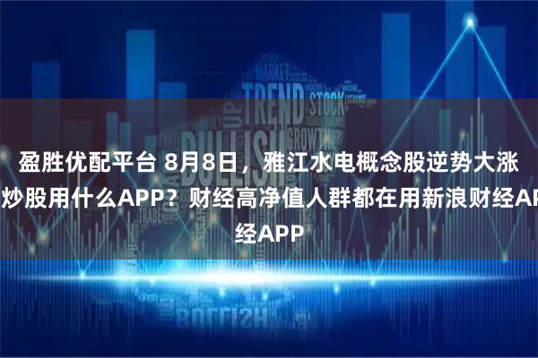 盈胜优配平台 8月8日，雅江水电概念股逆势大涨，炒股用什么APP？财经高净值人群都在用新浪财经APP